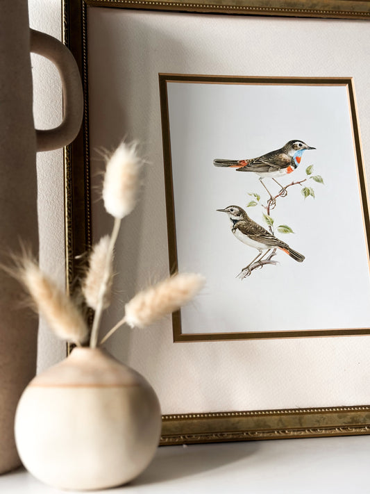 "birds" vintage art print // 8x10