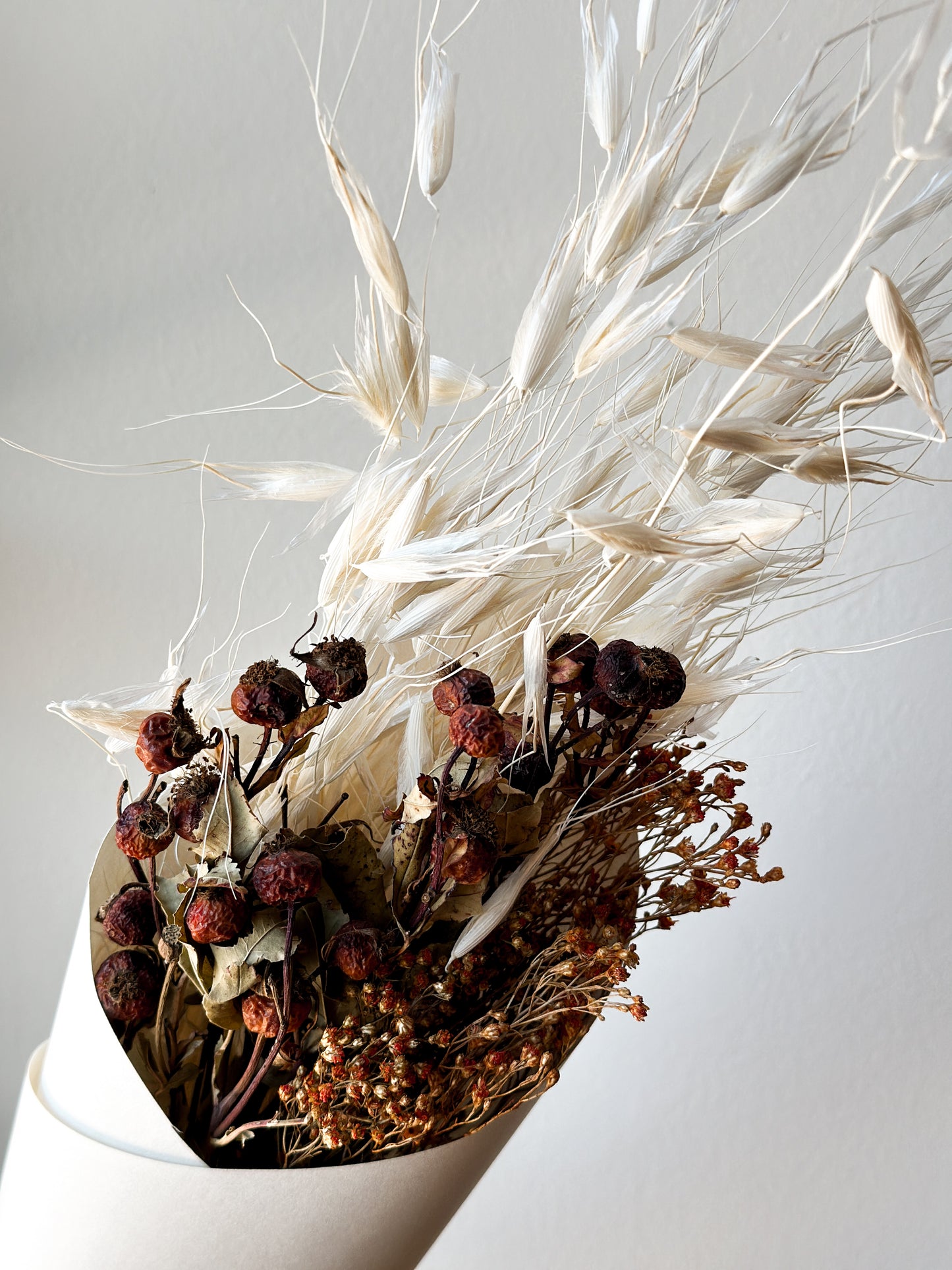 avena wild dried bouquet