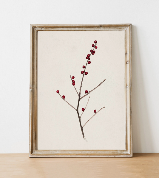 "winterberry" vintage art print // 8x10