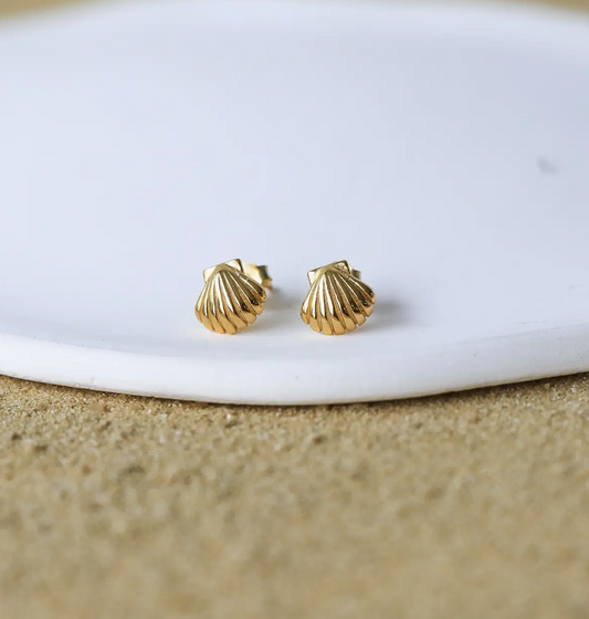 shell stud earrings